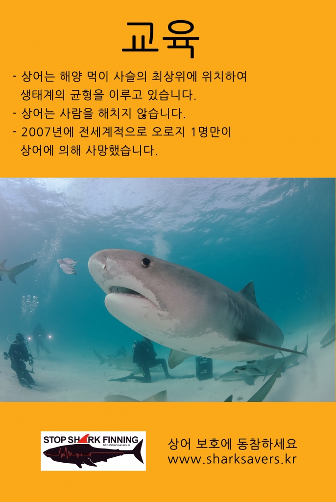 백상아리 포스터