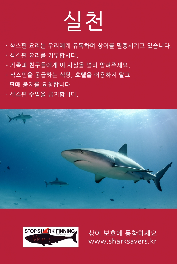 백상아리 포스터